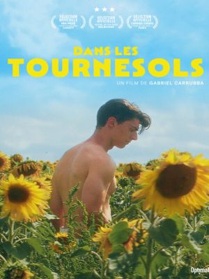 Affiche du document Dans les tournesols