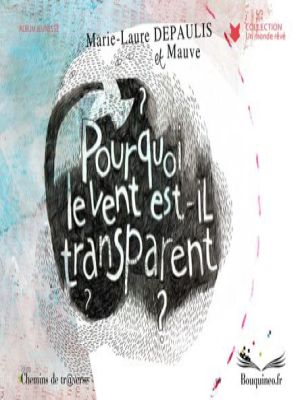 Affiche du document Pourquoi le vent est-il transparent ?