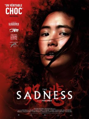 Affiche du document The Sadness