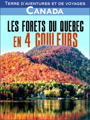 Terre d'aventures et de voyages : Les forêts du Québec en 4 couleurs