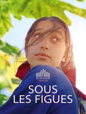 Affiche du document Sous les figues