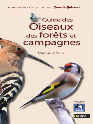 Affiche du document Guide des oiseaux des forêts et campagnes