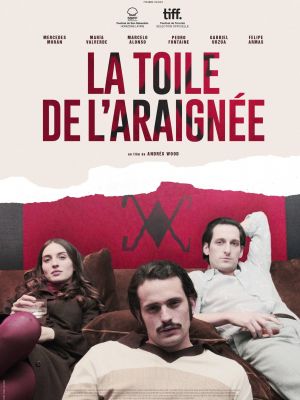 Affiche du document La toile de l'araignée