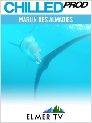 Affiche du document Marlin des Almadies