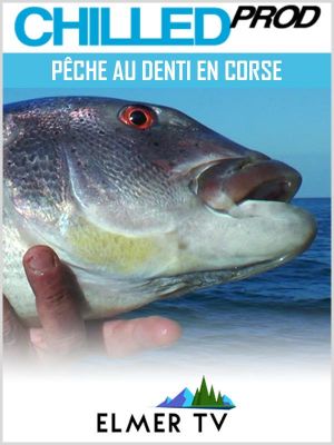 Affiche du document Pêche au denti en Corse