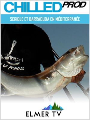 Affiche du document Seriole et barracuda en Méditerranée