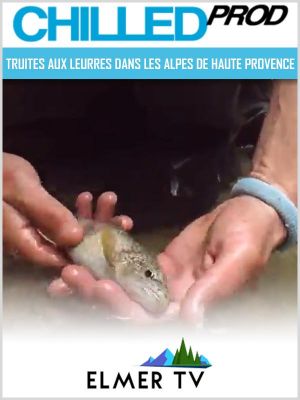 Affiche du document Truites aux leurres dans les Alpes de Haute Provence