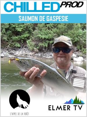 Affiche du document Saumon de Gaspesie