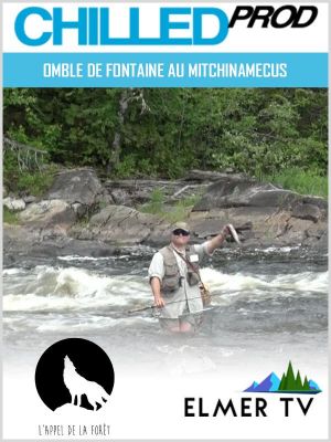 Affiche du document Omble de fontaine au Mitchinamecus