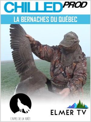 Affiche du document La bernaches du Québec