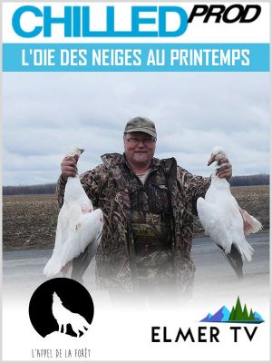 Affiche du document L'oie des neiges au printemps