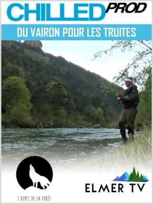 Affiche du document Du vairon pour les truites