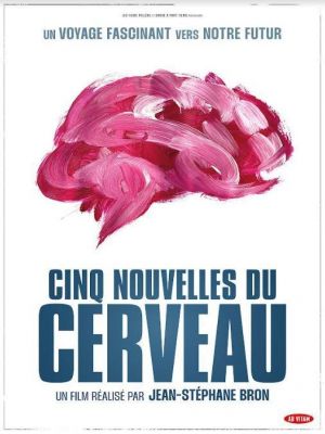 Cinq nouvelles du cerveau