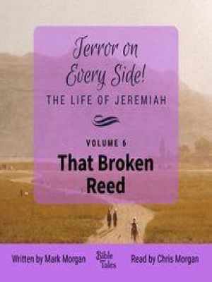 Affiche du document Terror on Every Side! The Life of Jeremiah Volume 6 – That Broken Reed