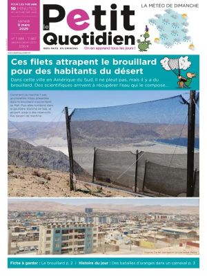 Affiche du document Le Petit Quotidien