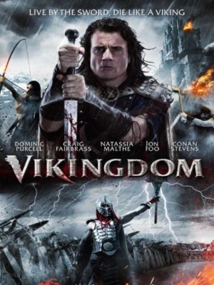 Affiche du document Vikingdom