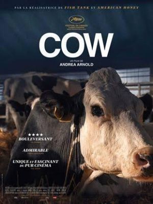 Affiche du document Cow