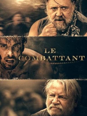 Affiche du document Le combattant