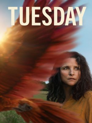 Affiche du document Tuesday