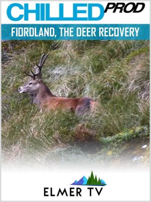 Fiordland, the deer recovery