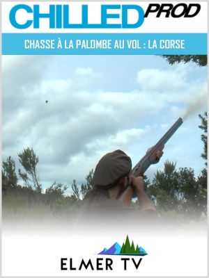 Chasse à la palombe au vol : La Corse