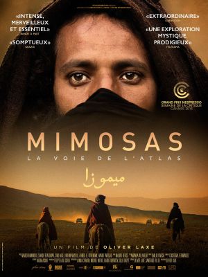 Affiche du document Mimosas, la voie de l'Atlas