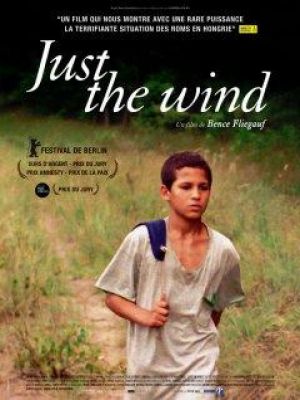 Affiche du document Just the wind