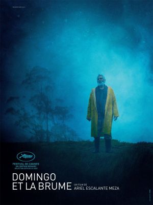 Affiche du document Domingo et la brume
