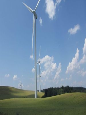 Affiche du document Éoliennes versus protection de la biodiversité : en Occitanie, le dilemme s’intensifie