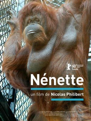 Affiche du document Nénette