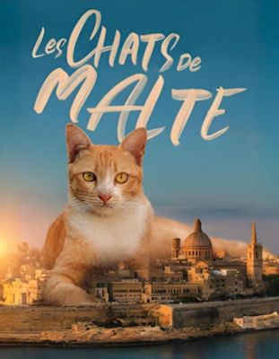 Affiche du document Les chats de Malte