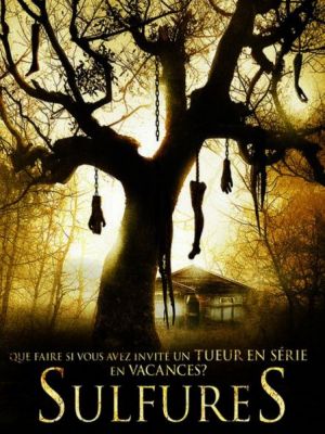 Affiche du document Sulfures
