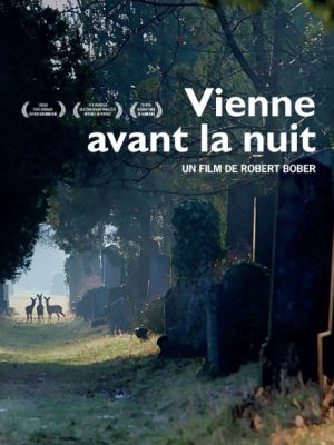 Vienne avant la nuit