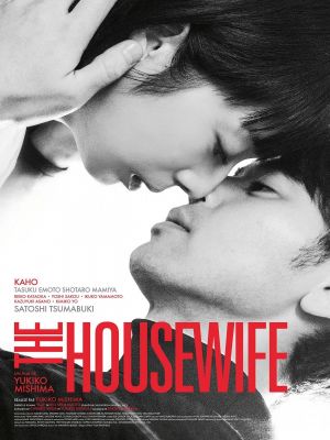 Affiche du document The Housewife