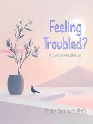 Affiche du document Feeling Troubled?