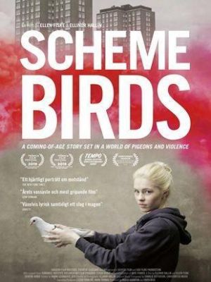 Affiche du document Scheme Birds