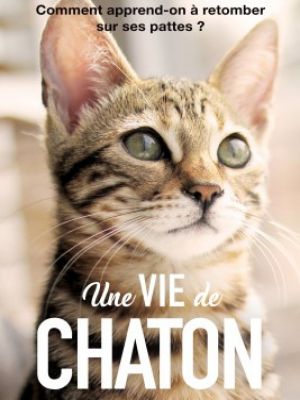 Affiche du document Une vie de chaton