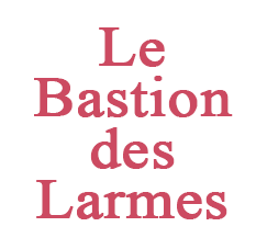 Le bastion des larmes - Prix Décembre 2024 et Prix de la langue française 2024