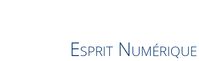Esprit numérique